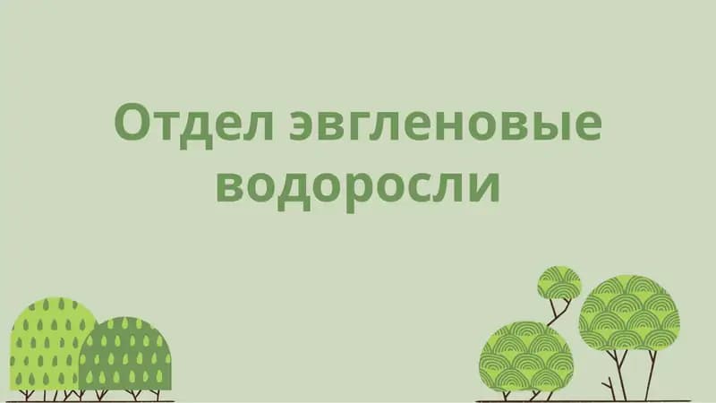 Эвгленовые водоросли