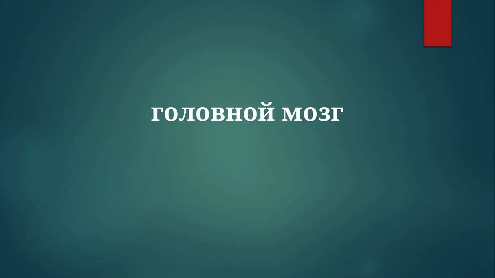 Основные Функции Мозга