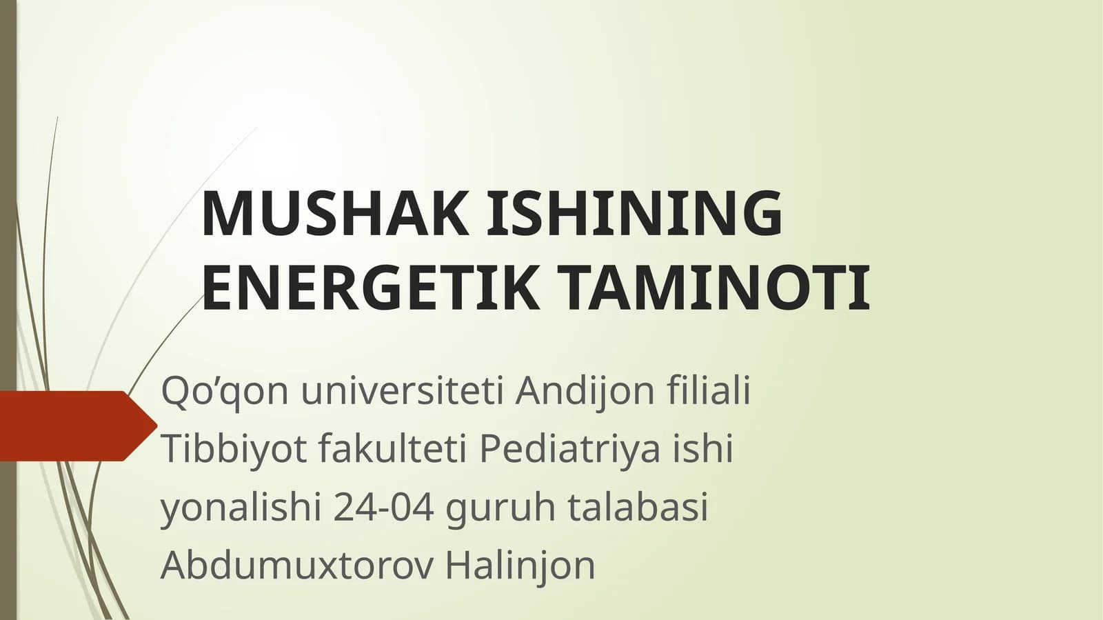 MUSHAK ISHINING ENERGETIK TAMINOTI