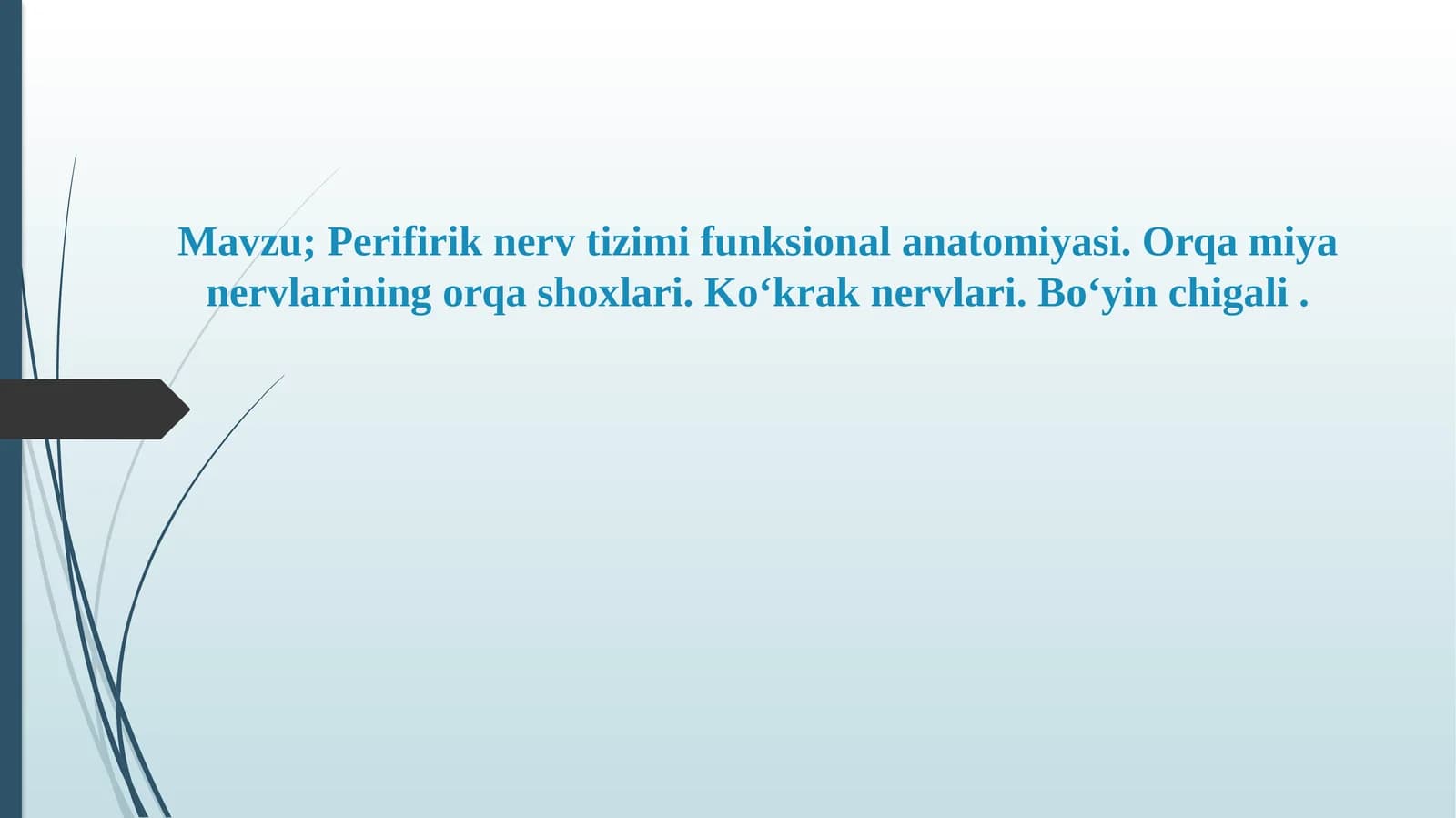 Perifirik nerv tizimi funksional anatomiyasi