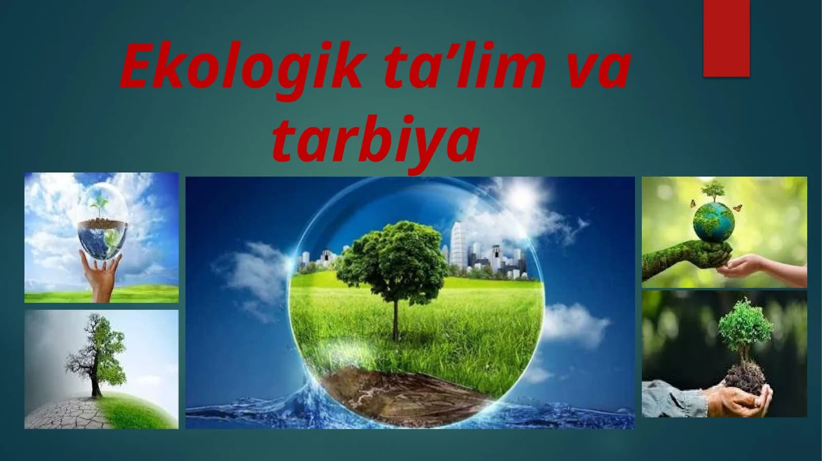 Ekologik ta’lim va tarbiya