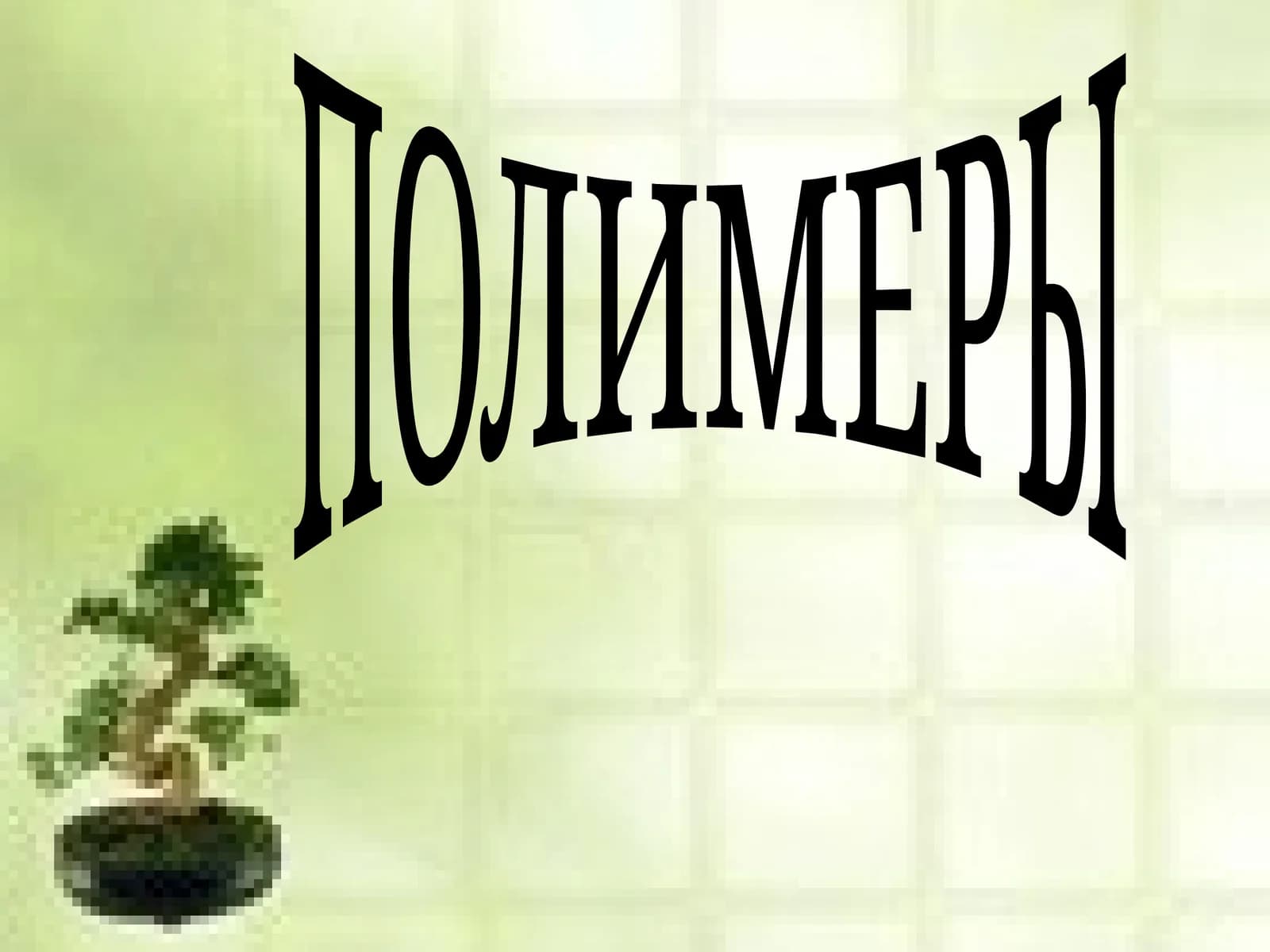 ПОЛИМЕРЫ