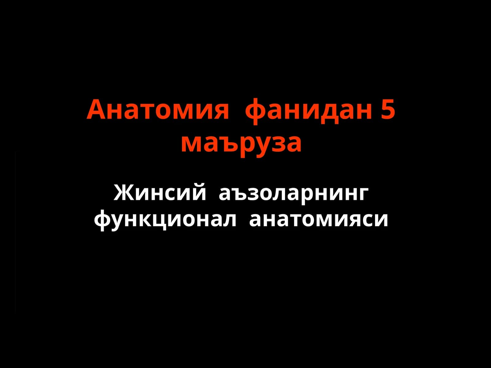 Жинсий аъзоларнинг функционал анатомияси