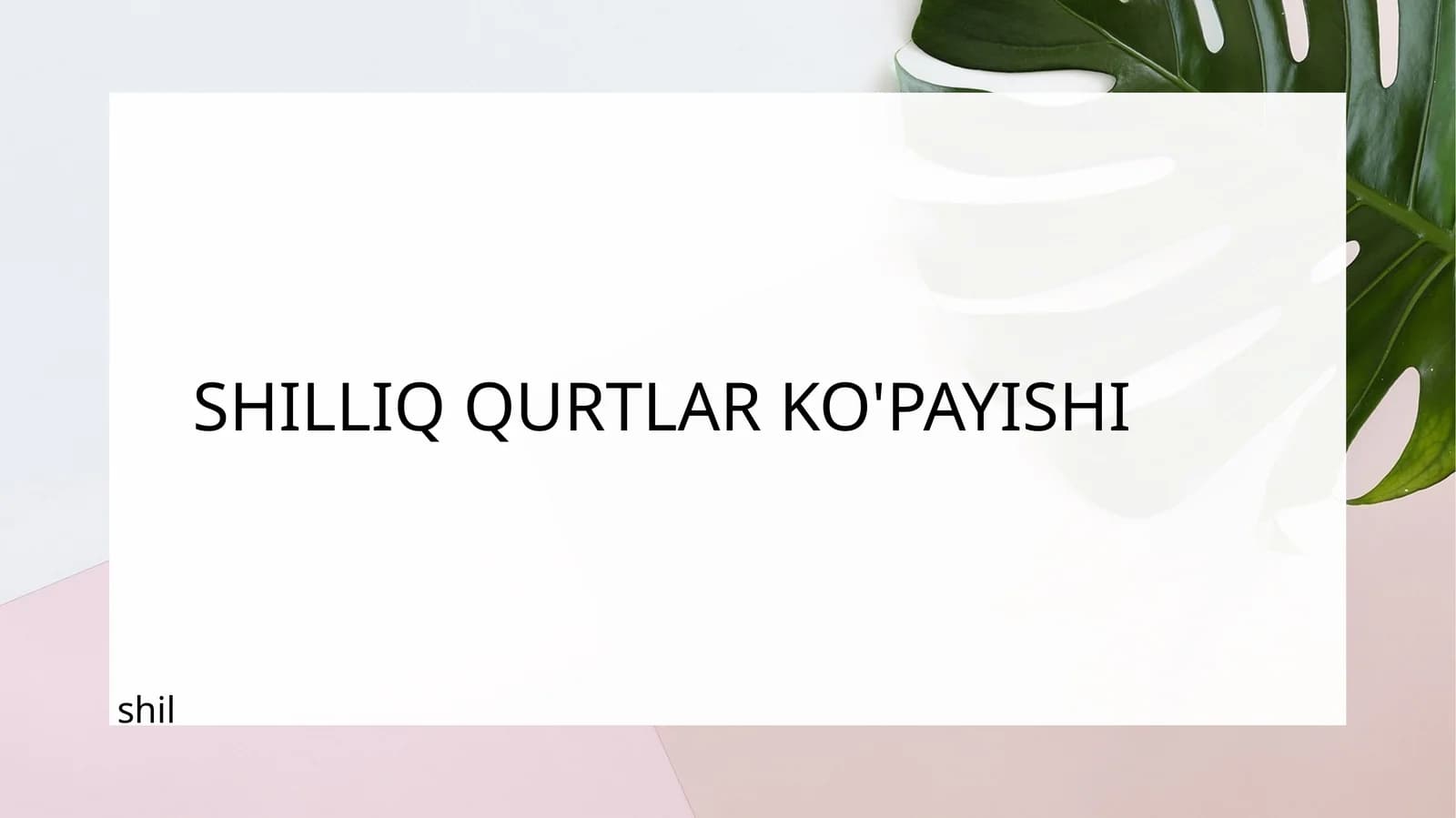 SHILLIQ QURTLAR KO'PAYISHI