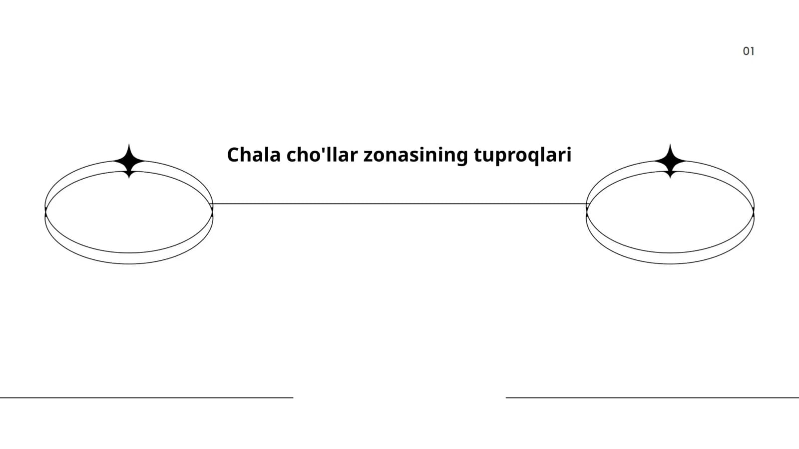 Chala cho'llar zonasining tuproqlari
