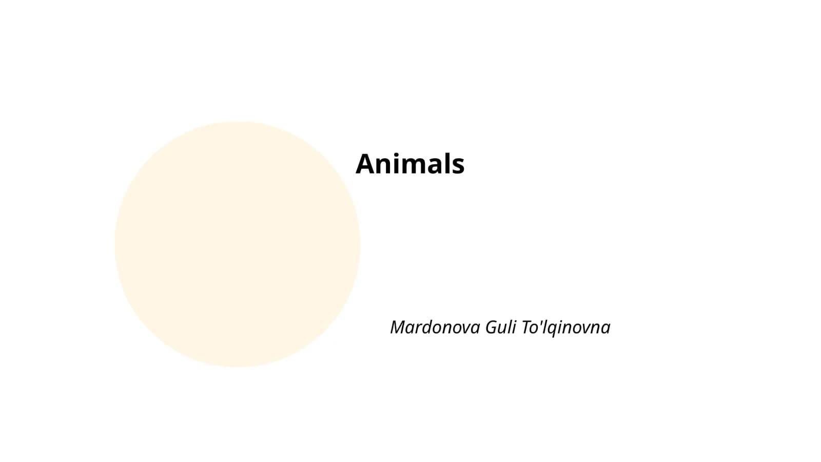 Animals Conservation