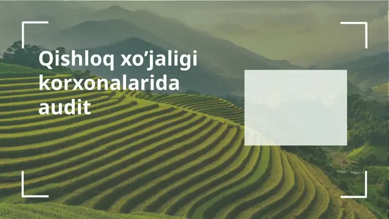 Qishloq xo’jaligi korxonalarida audit