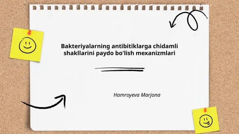 Bakteriyalarning antibitiklarga chidamli shakllarini paydo bo'lish mexanizmlari