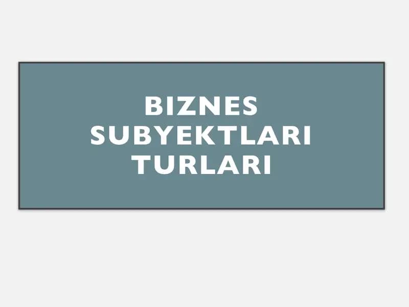 Biznes subyektlari turlari