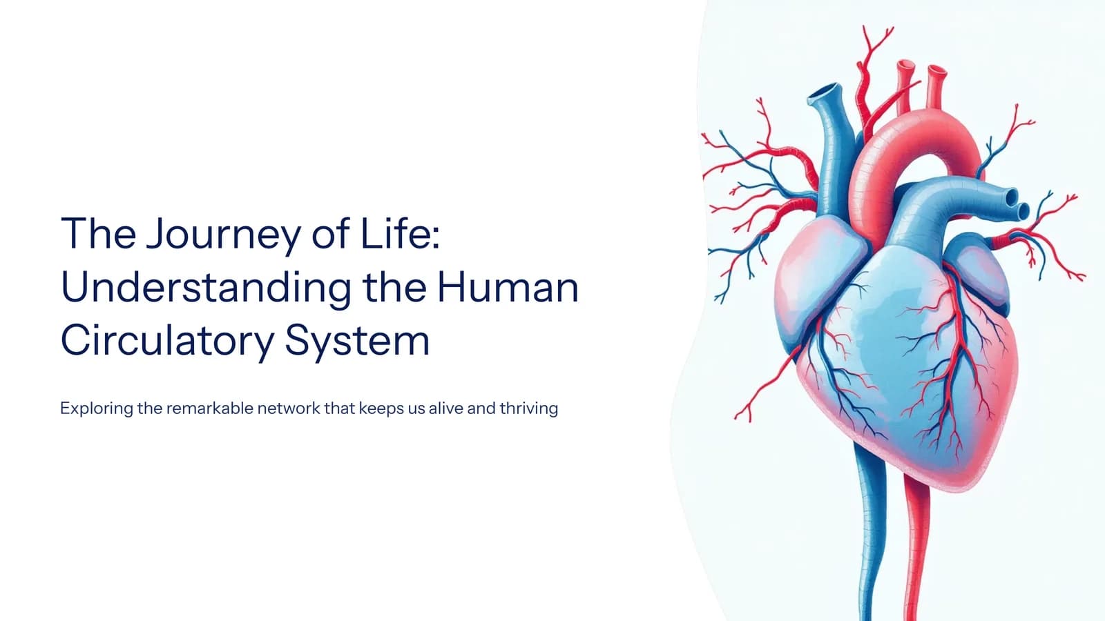 The Journey of Life: Understanding the Human Circulatory System