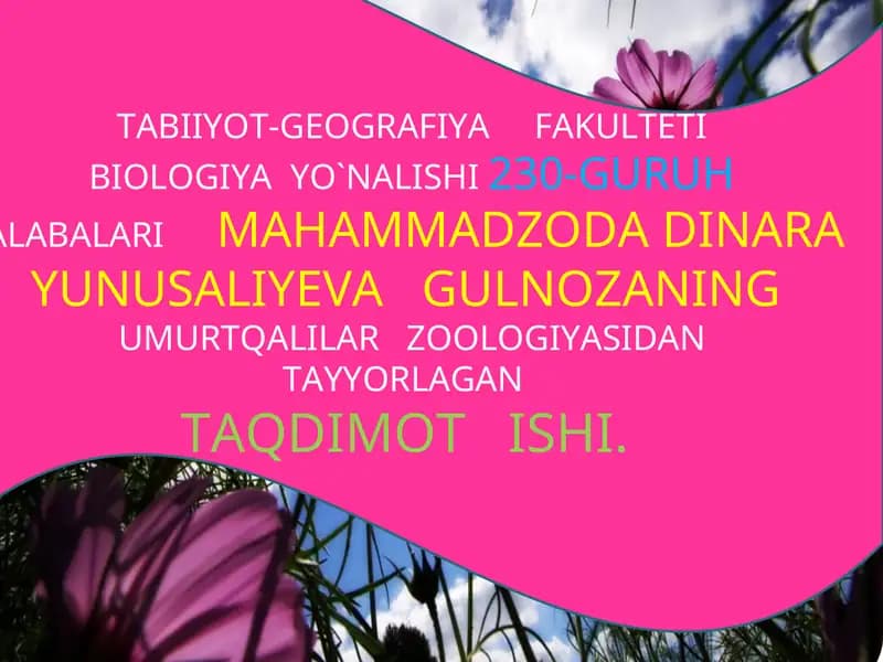 TOG‘AYLI BALIQLAR (CHONDRICHTHUES) SINFI