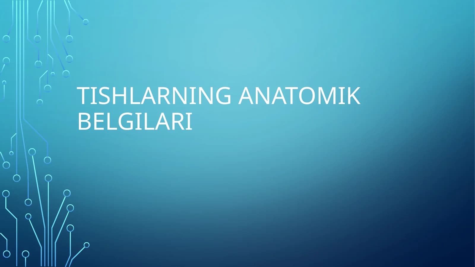Tishlar anatomiyasi