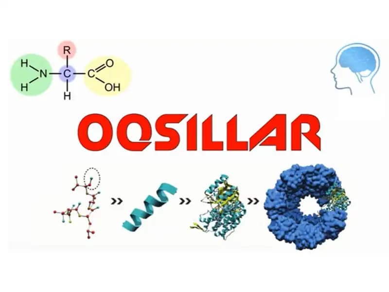 OQSILAR