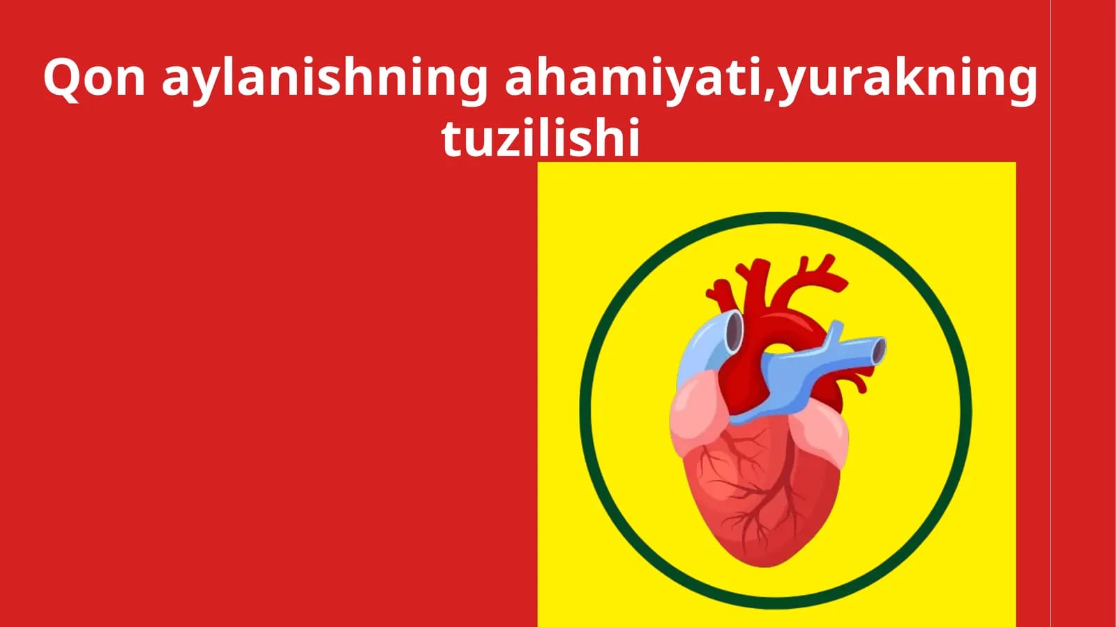 Qon aylanishning ahamiyati, yurakning tuzilishi
