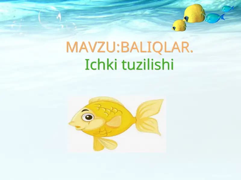 Baliqlarning ichki tuzilishi