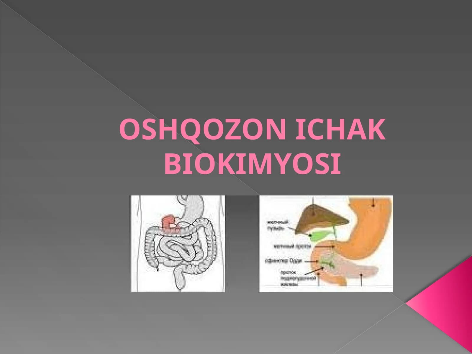 OSHQOZON ICHAK BIOKIMYOSI