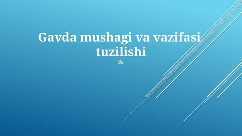 Gavda mushagi va vazifasi tuzilishi
