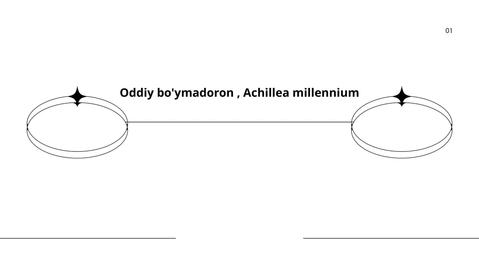Oddiy bo'ymadoron, Achillea millennium