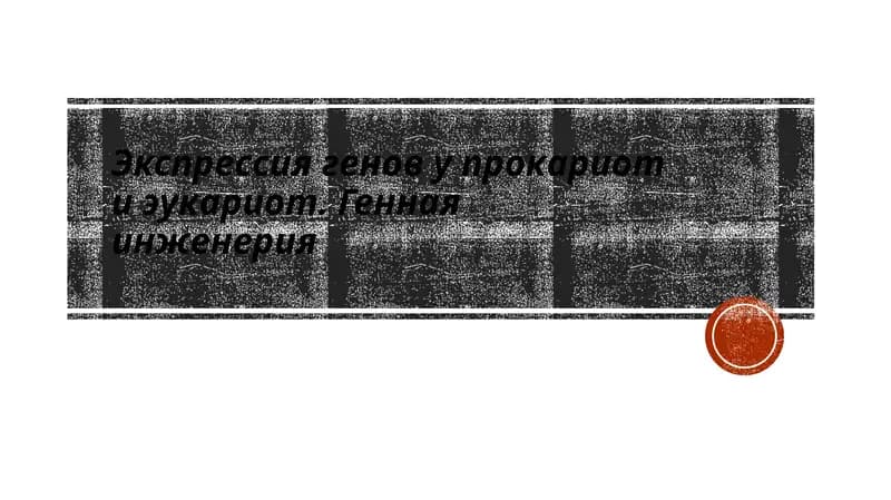 Экспрессия генов у прокариот иэукариот. Геннаяинженерия