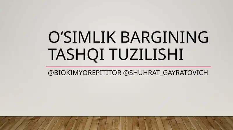O‘simlik Bargining tashqi tuzilishi