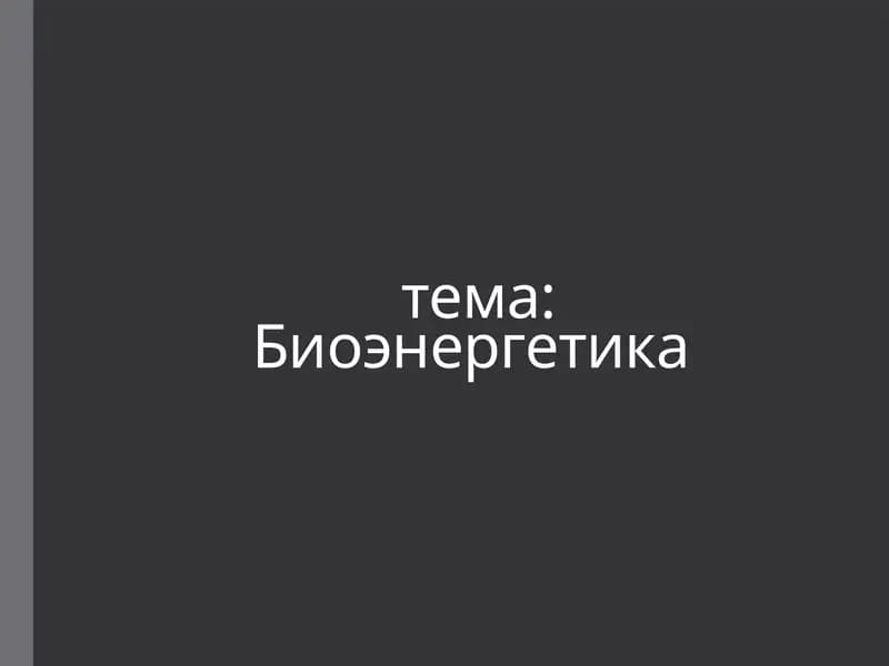 Биоэнергетика