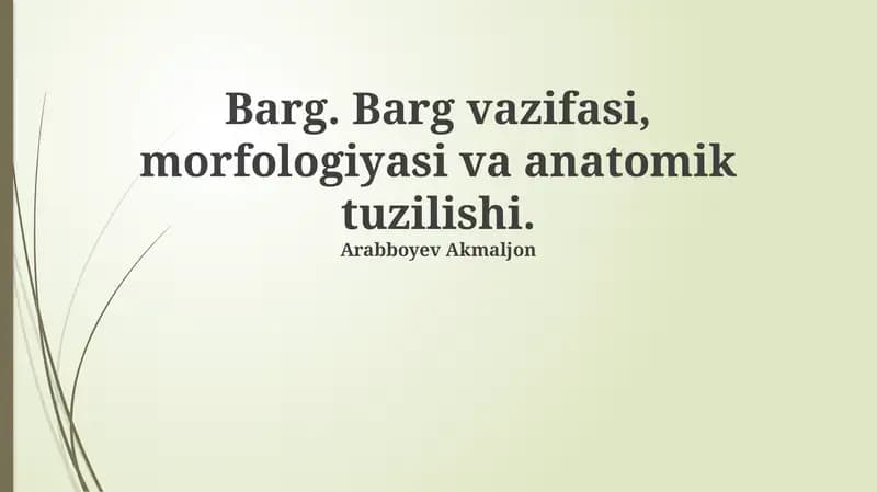 Qobiq