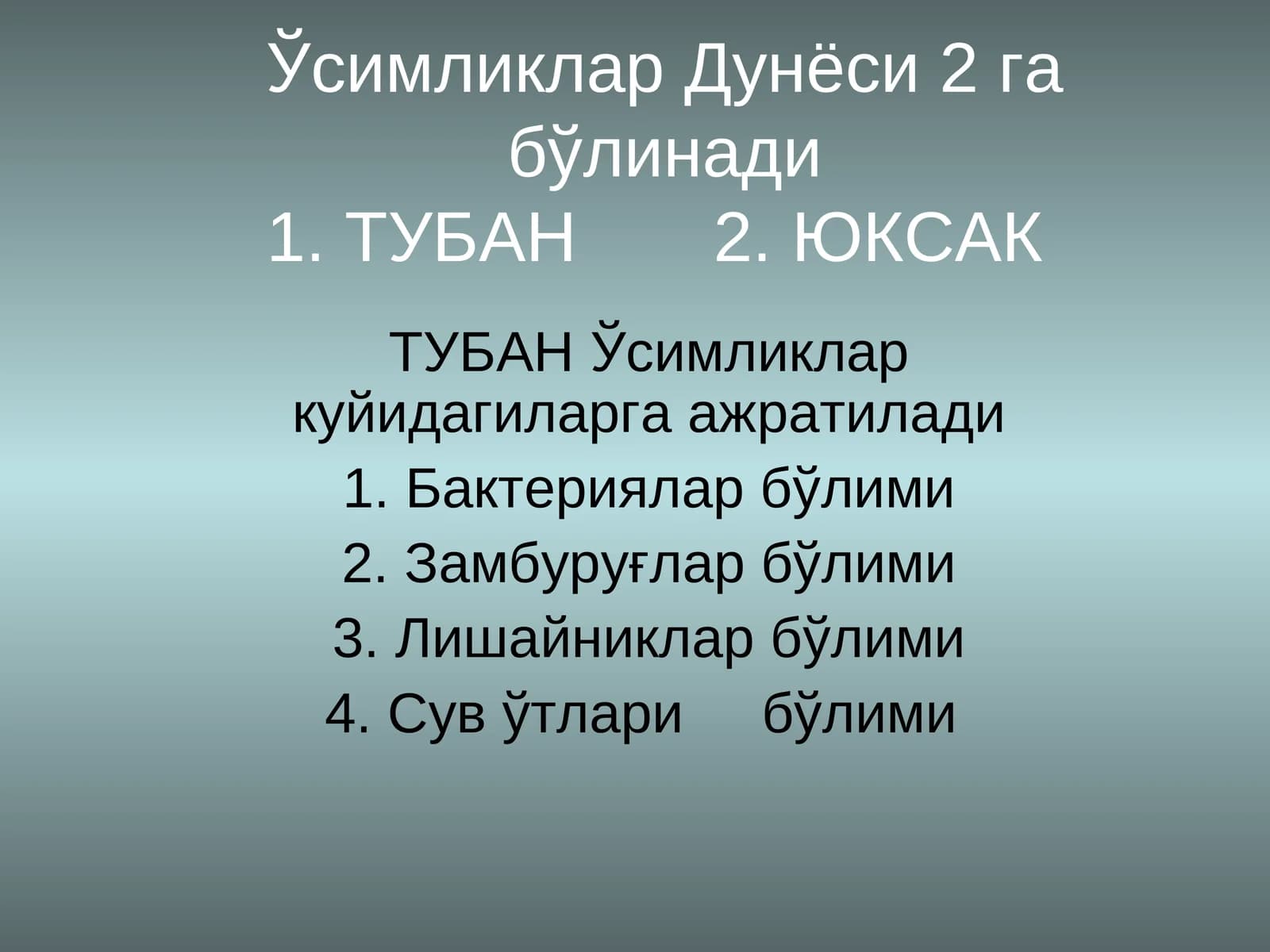 Ўсимликлар Дунёси