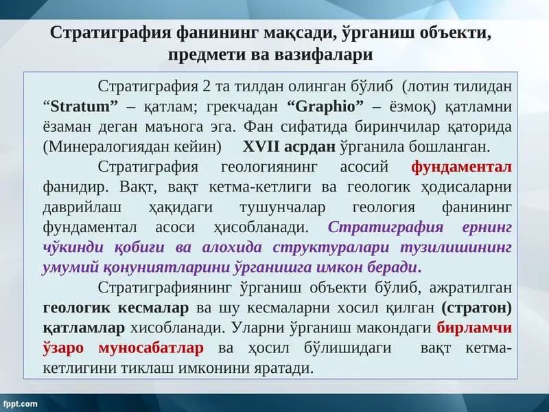 Стратиграфия фани