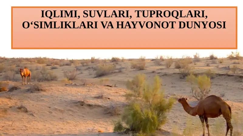 O‘simliklari va hayvonot dunyosi