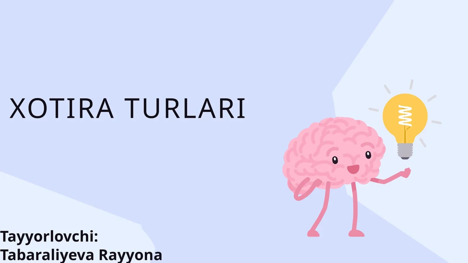 XOTIRA TURLARI