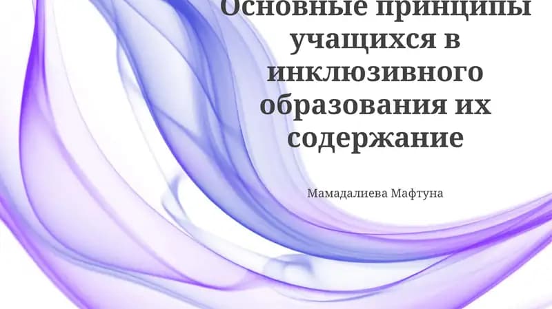 Основные принципы учащихся в инклюзивного образования их содержание