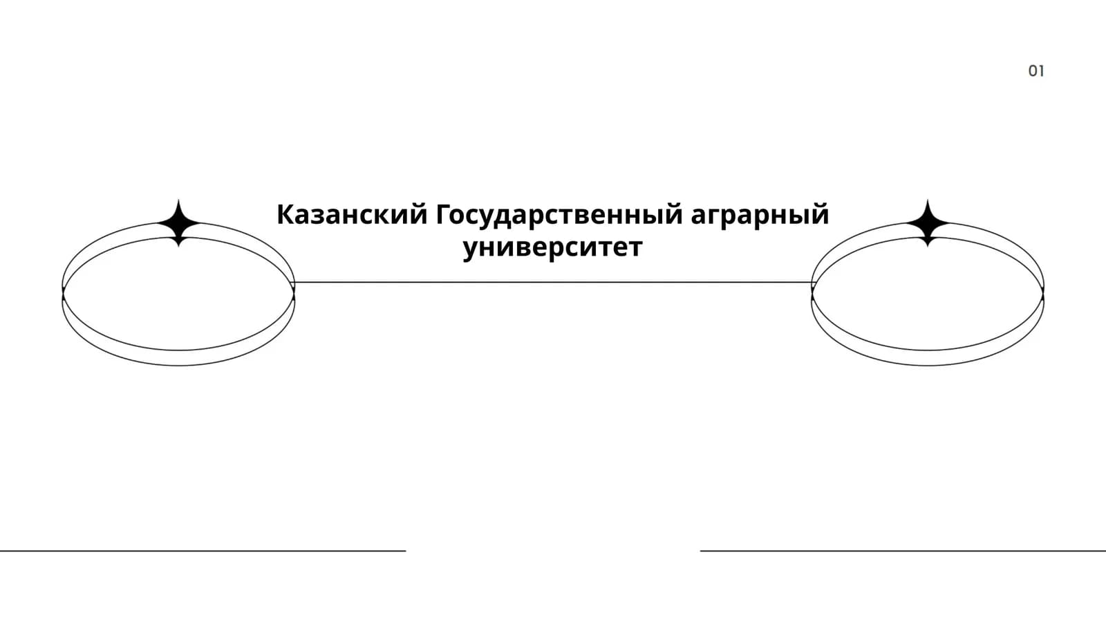 Казанский Государственный аграрный университет