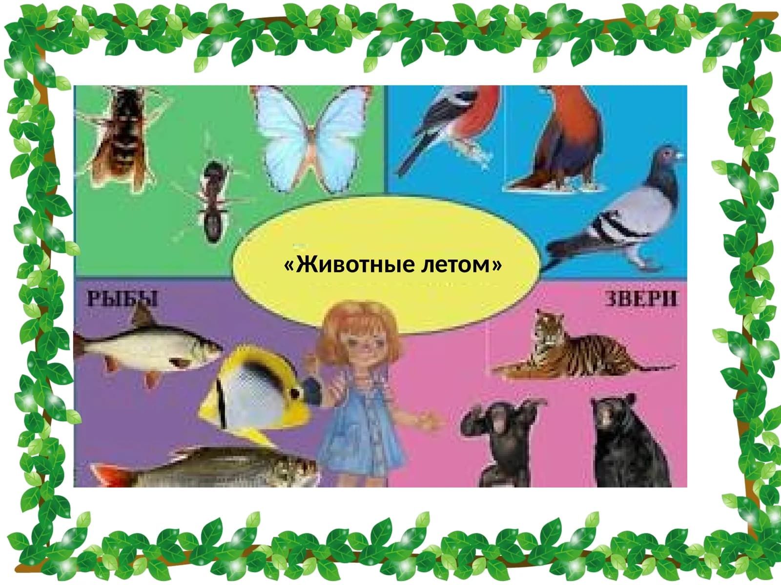 Животные летом