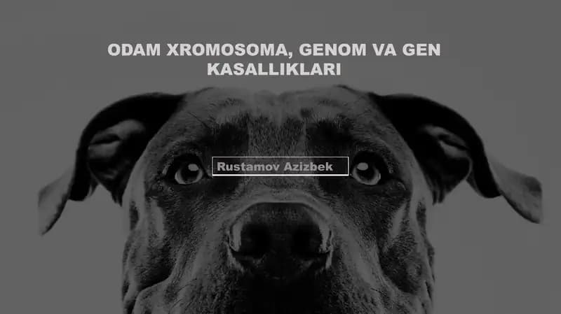 Odam xromosoma, genom va gen kasalliklari