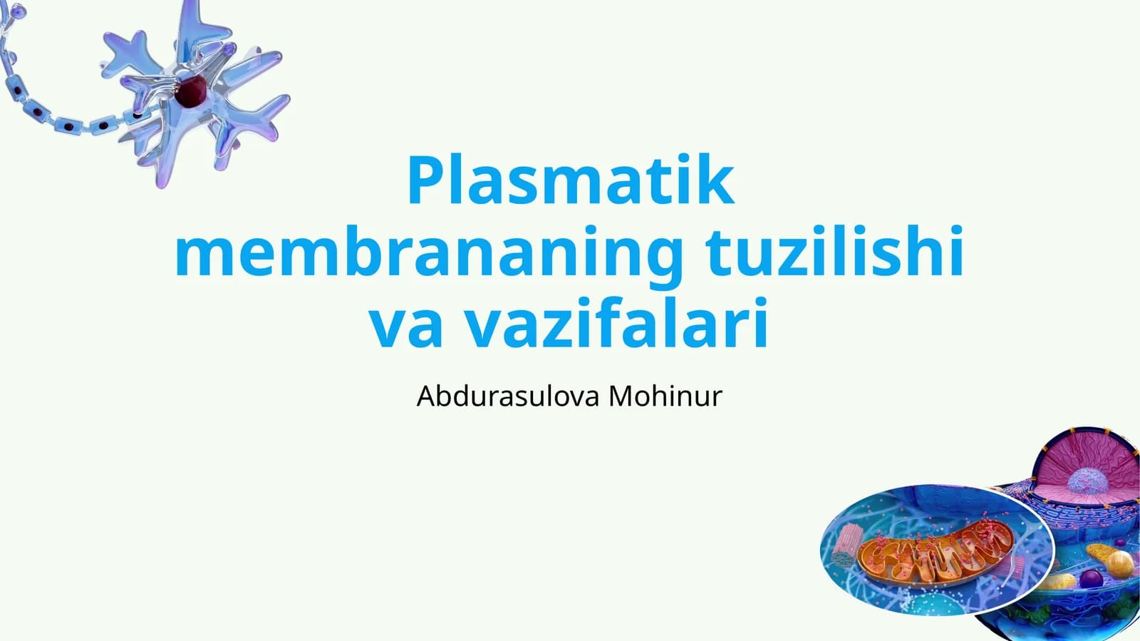 Plasmatik membrananing tuzilishi va vazifalari