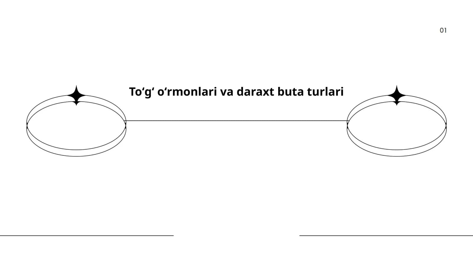 Toʻgʻ oʻrmonlari va daraxt buta turlari