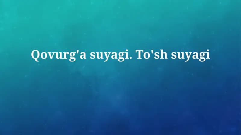 Qovurg'a suyagi.To'shsuyagi