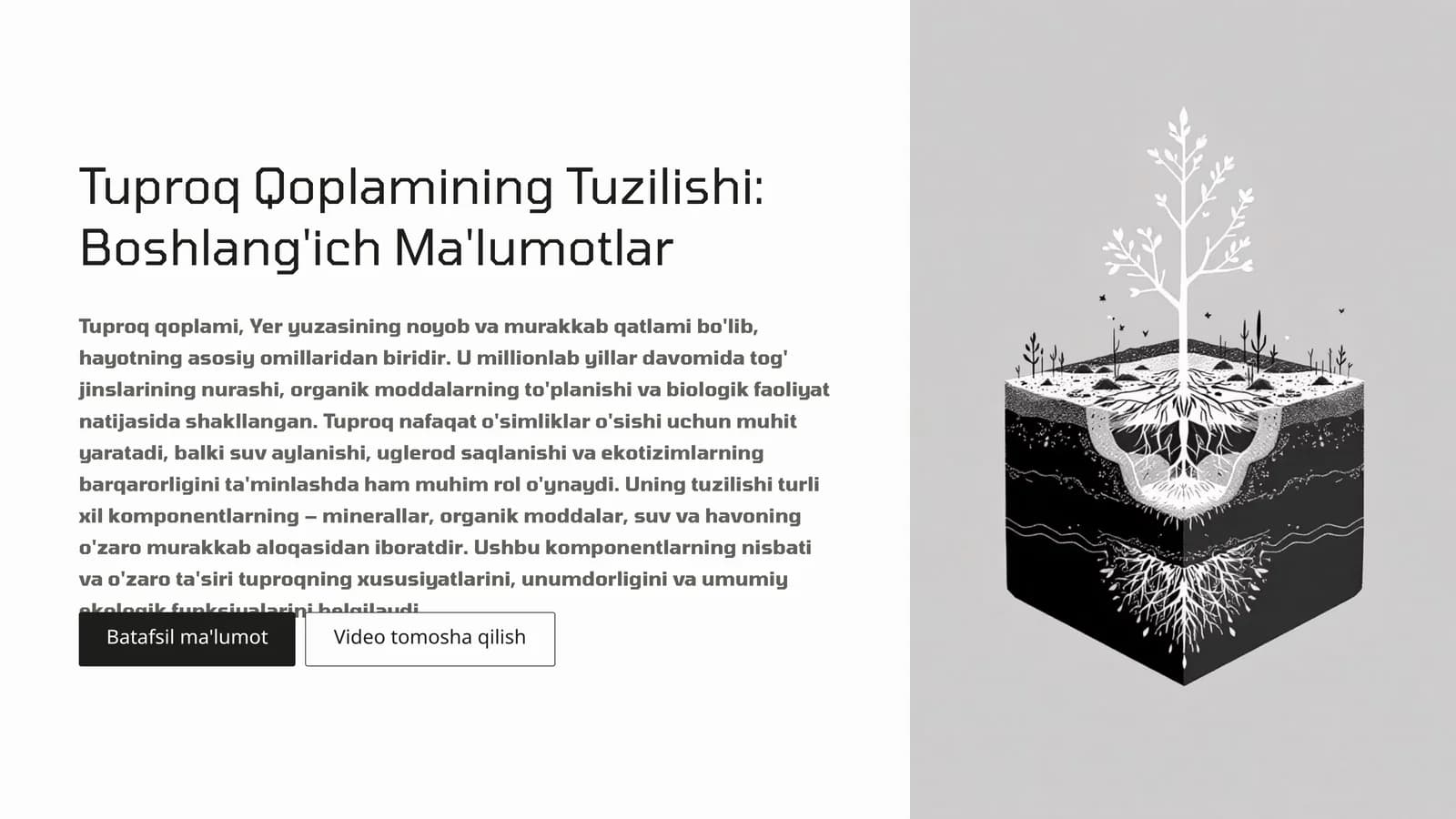 Tuproq qoplamining tuzilishi