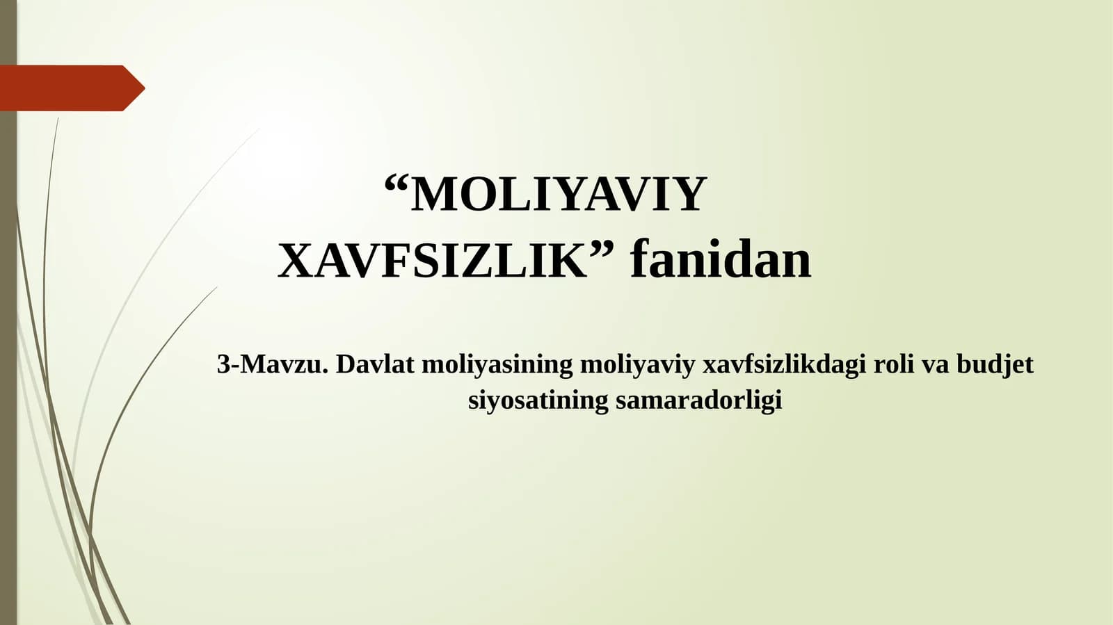 Davlat moliyasining moliyaviy xavfsizlikdagi roli va budjet siyosatining samaradorligi