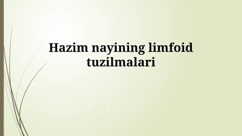 Hazim nayininglimfoidtuzilmalari