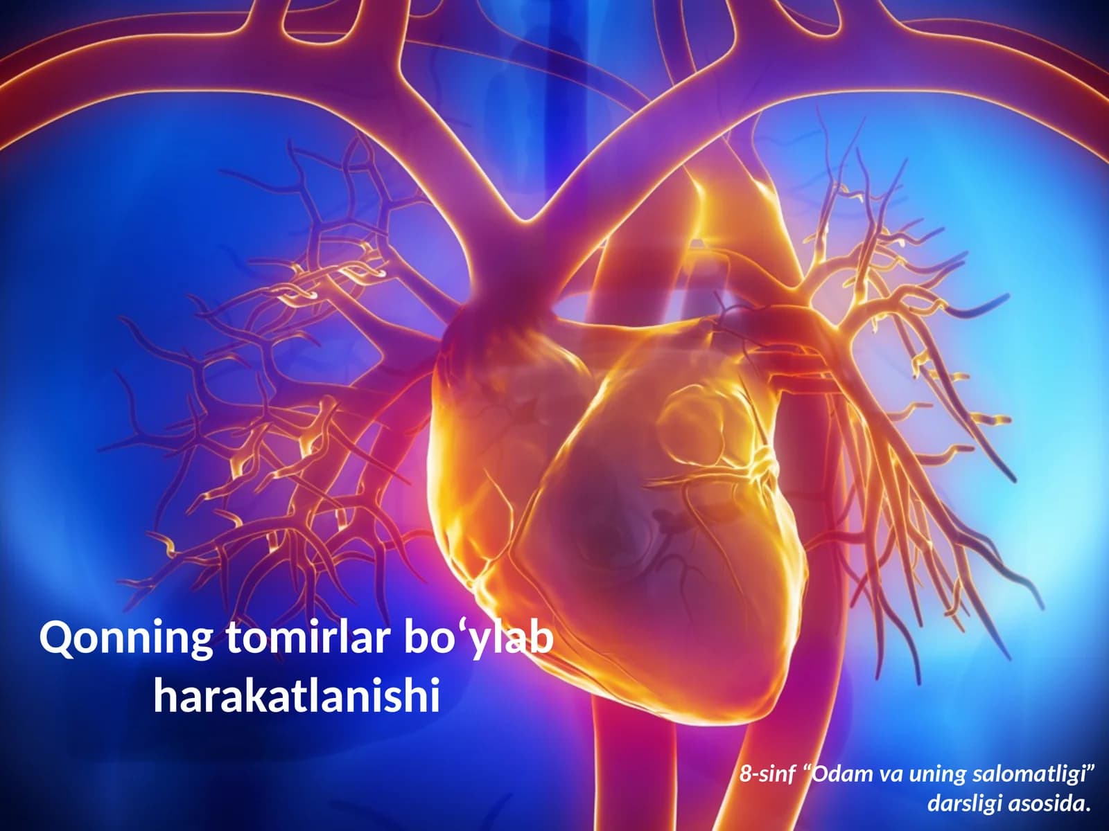 Qonning tomirlar bo‘ylab harakatlanishi