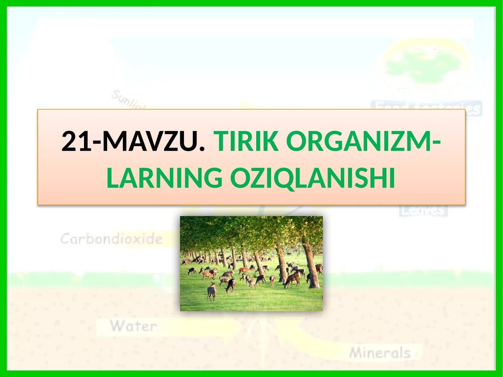 TIRIK ORGANIZM-LARNING OZIQLANISHI