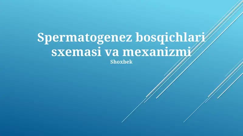 Spermatogenez bosqichlari sxemasi va mexanizmi