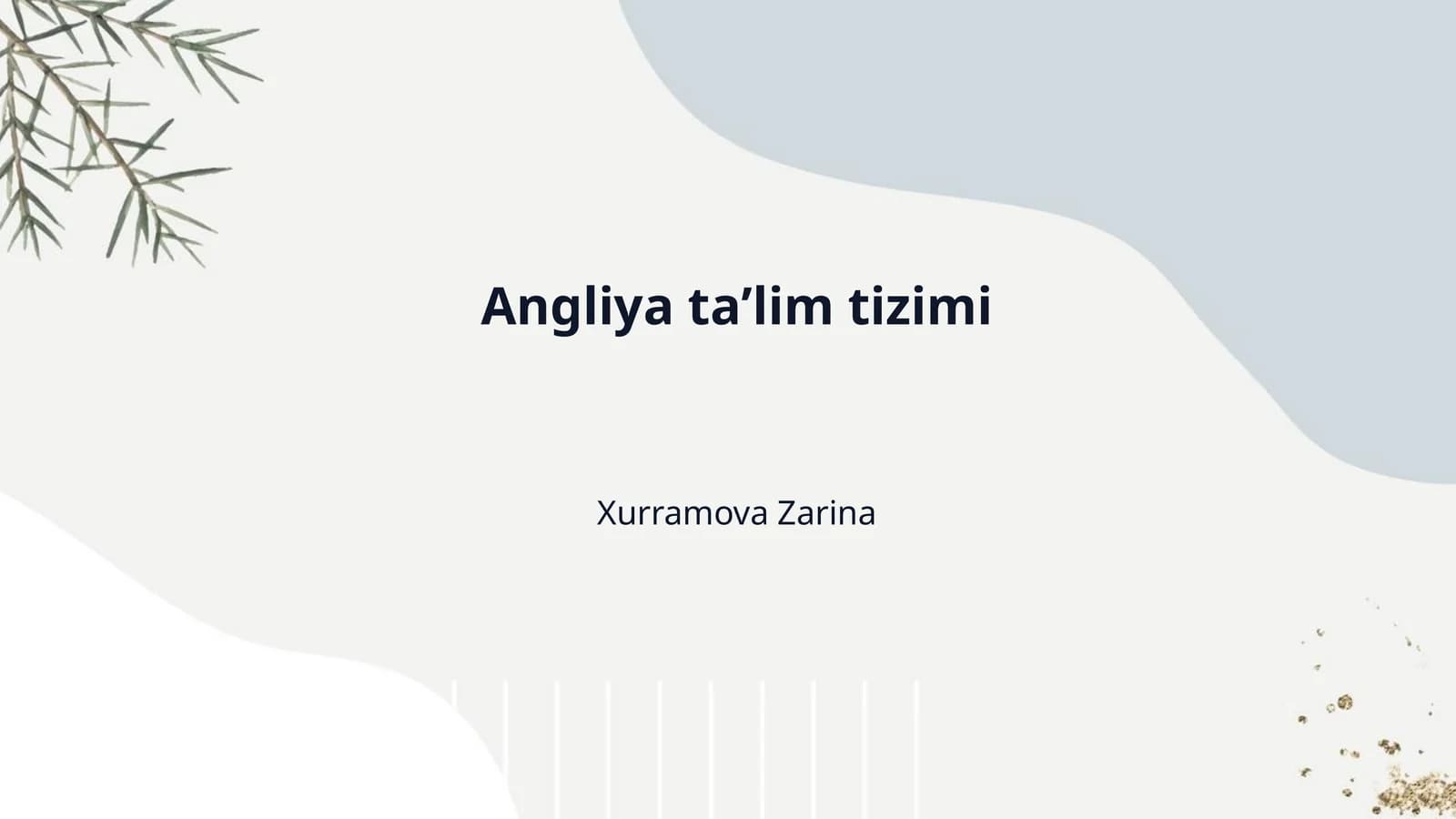 Angliya taʼlim tizimi