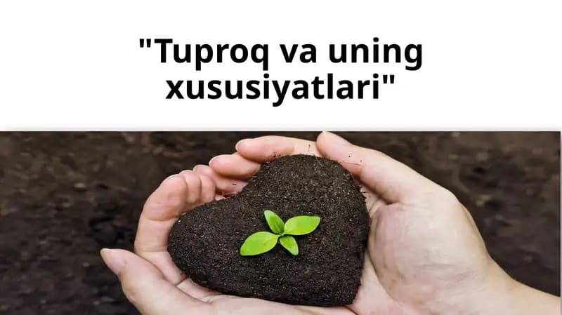 Tuproq va uning xususiyatlari