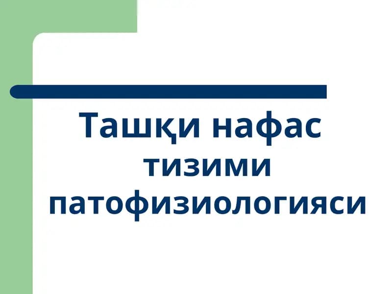 Ташқи нафас тизими патофизиологияси