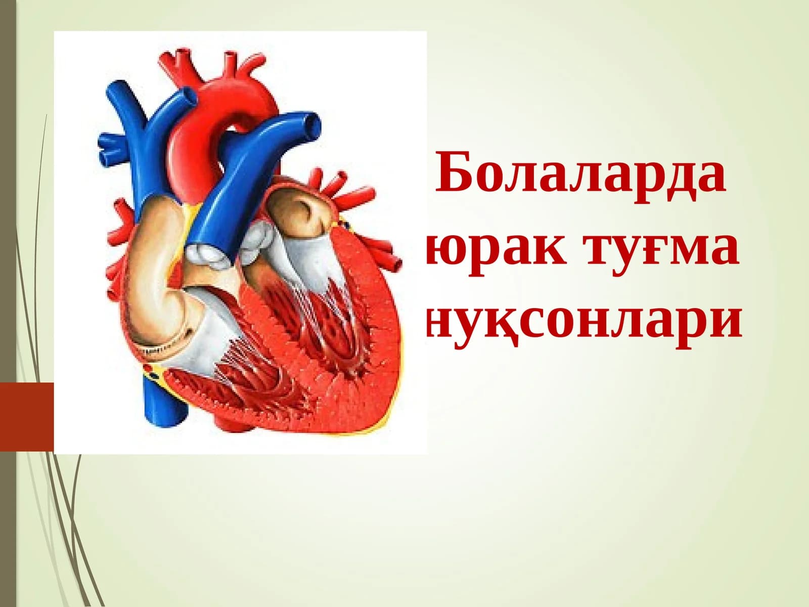Болаларда юрак туғма нуқсонлари