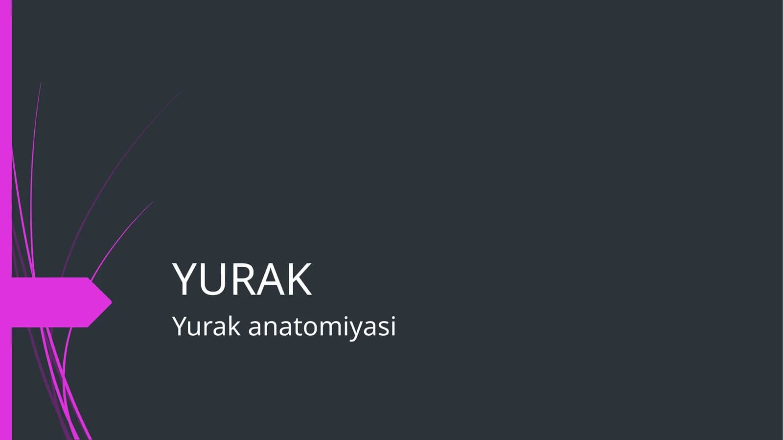 Yurak