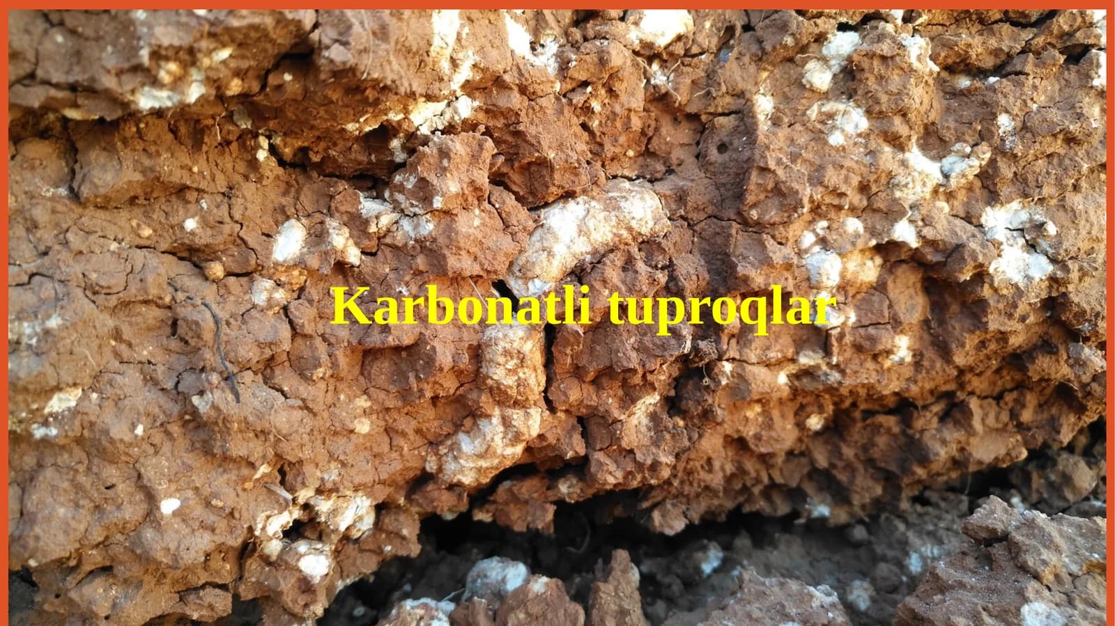 Karbonatli tuproqlar