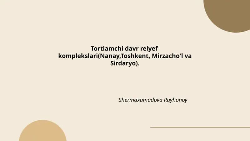 Tortlamchi davr relyef komplekslari